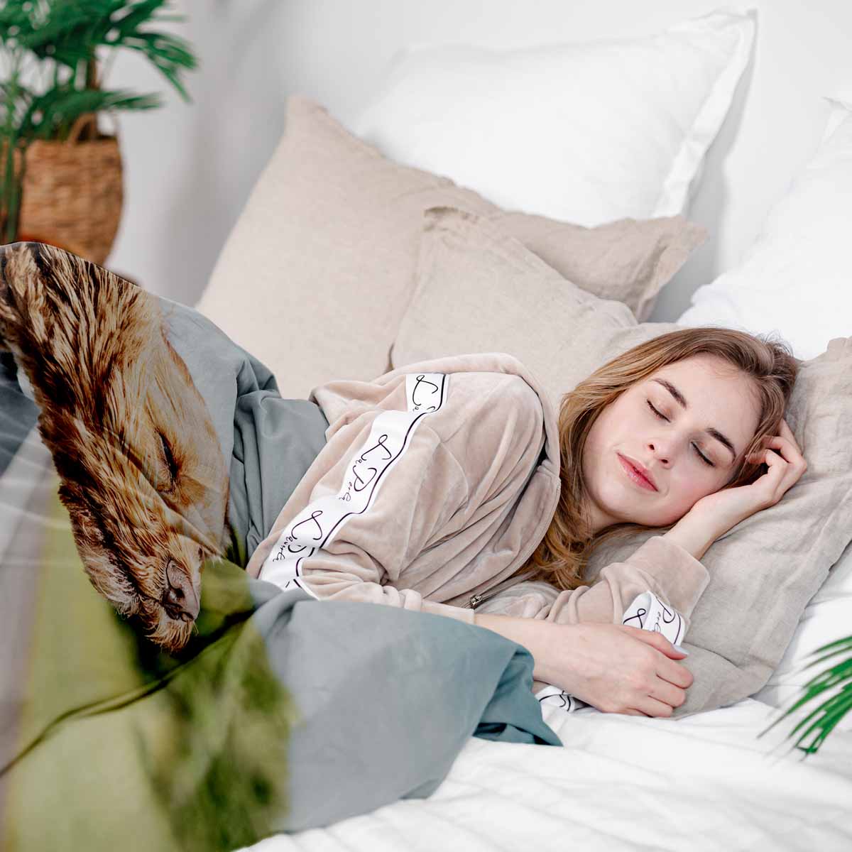 Therapiedekens beddengoedset met hond in de auto