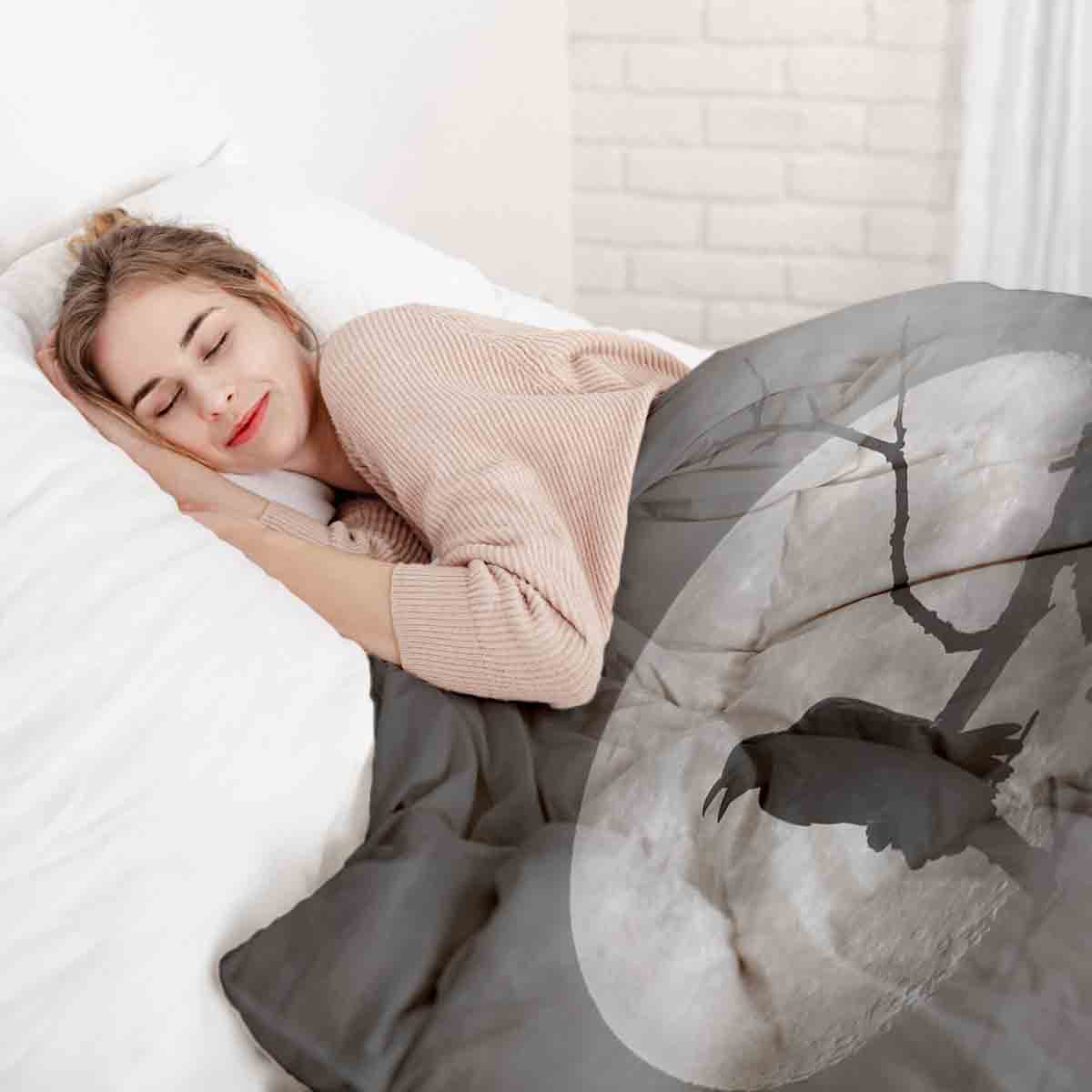 Original Therapiedecke - Baumwoll Bettwäsche Set Rabe im Mondlicht