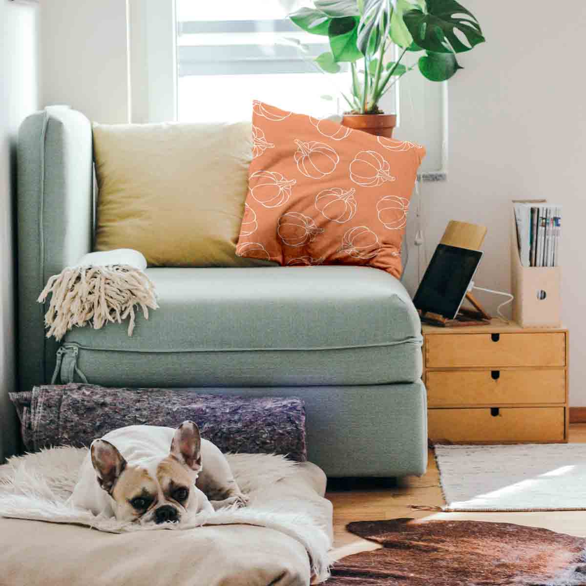 Gezondheidskussen Oranje met Pompoen