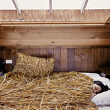 Therapiedekens beddengoedset met hooi