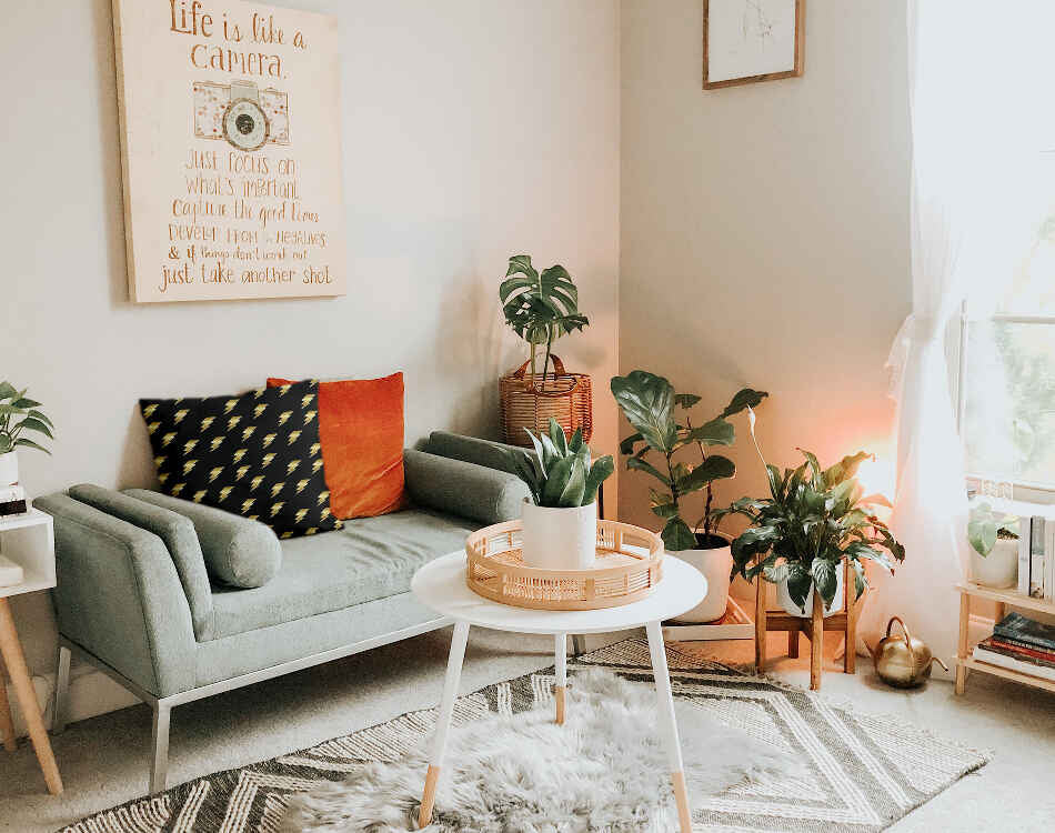 Gezondheidskussen Zwart met Harry Blitz