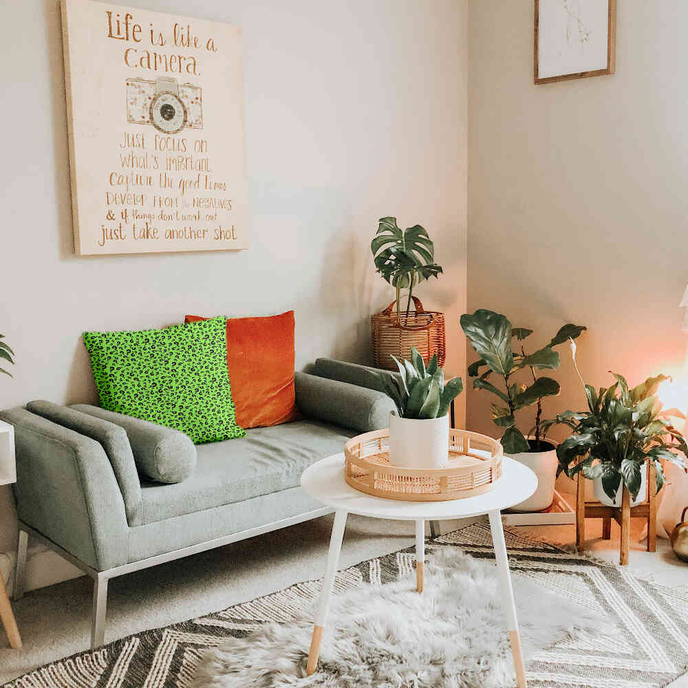 Gesundheitskissen Hellgrün mit Fragezeichen