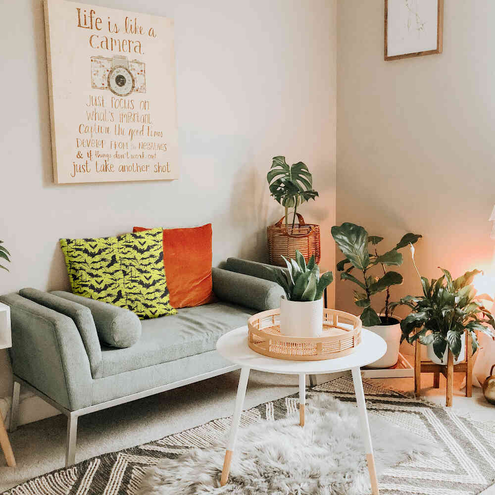 Gesundheitskissen Gelb Fledermaus