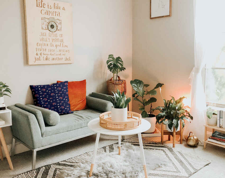 Gesundheitskissen Blau Johannisbeere