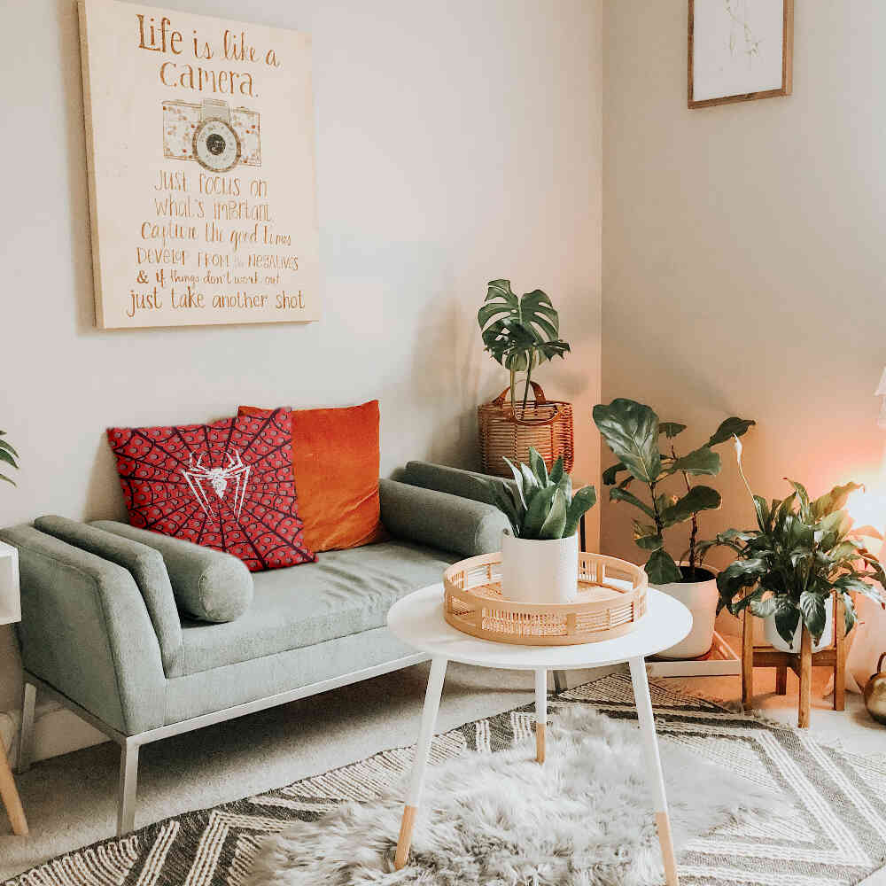 Gezondheidskussen Spiderman Spin