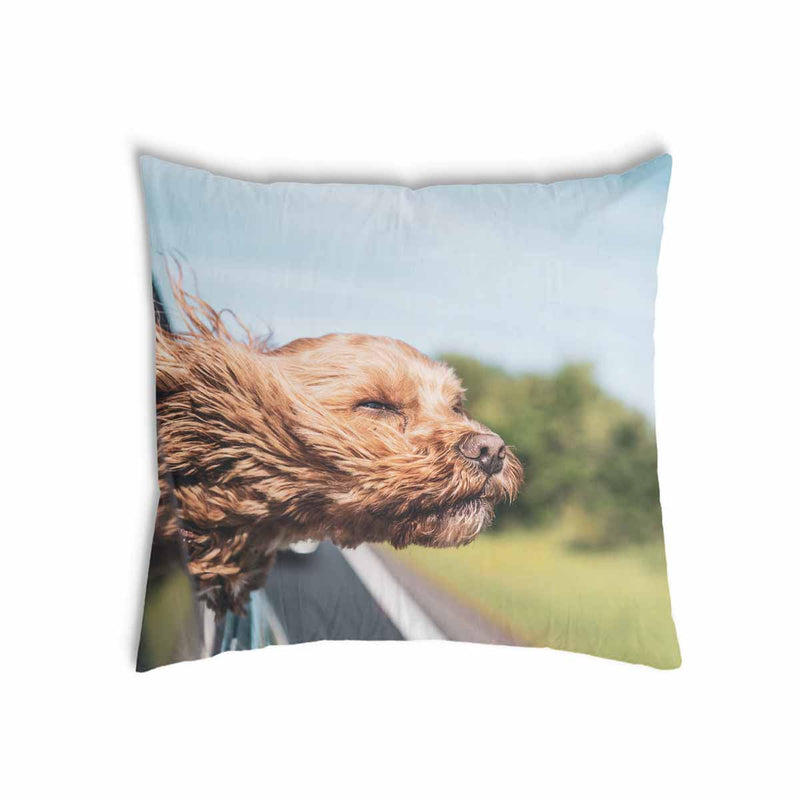 Gezondheidshoes met hond in de auto