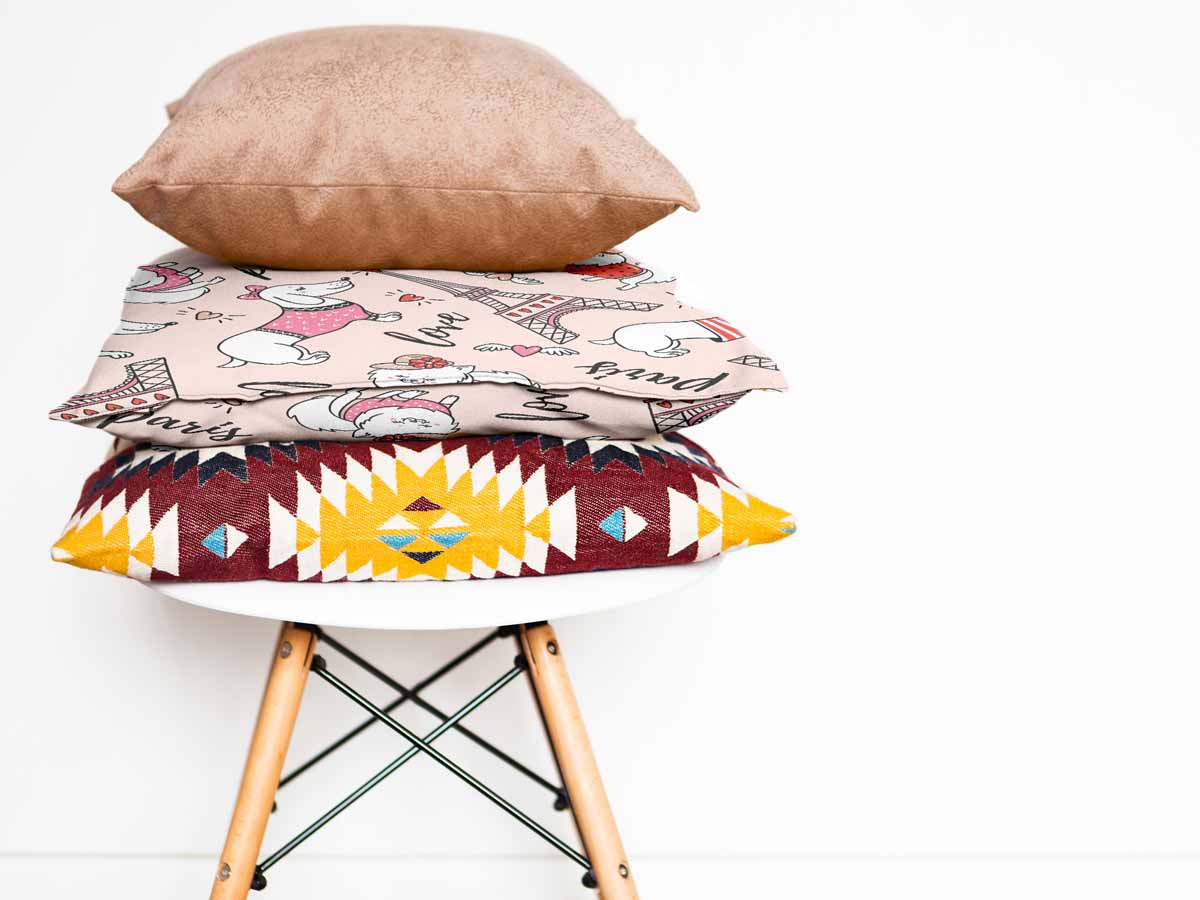 Gesundheitskissen Hund in Paris