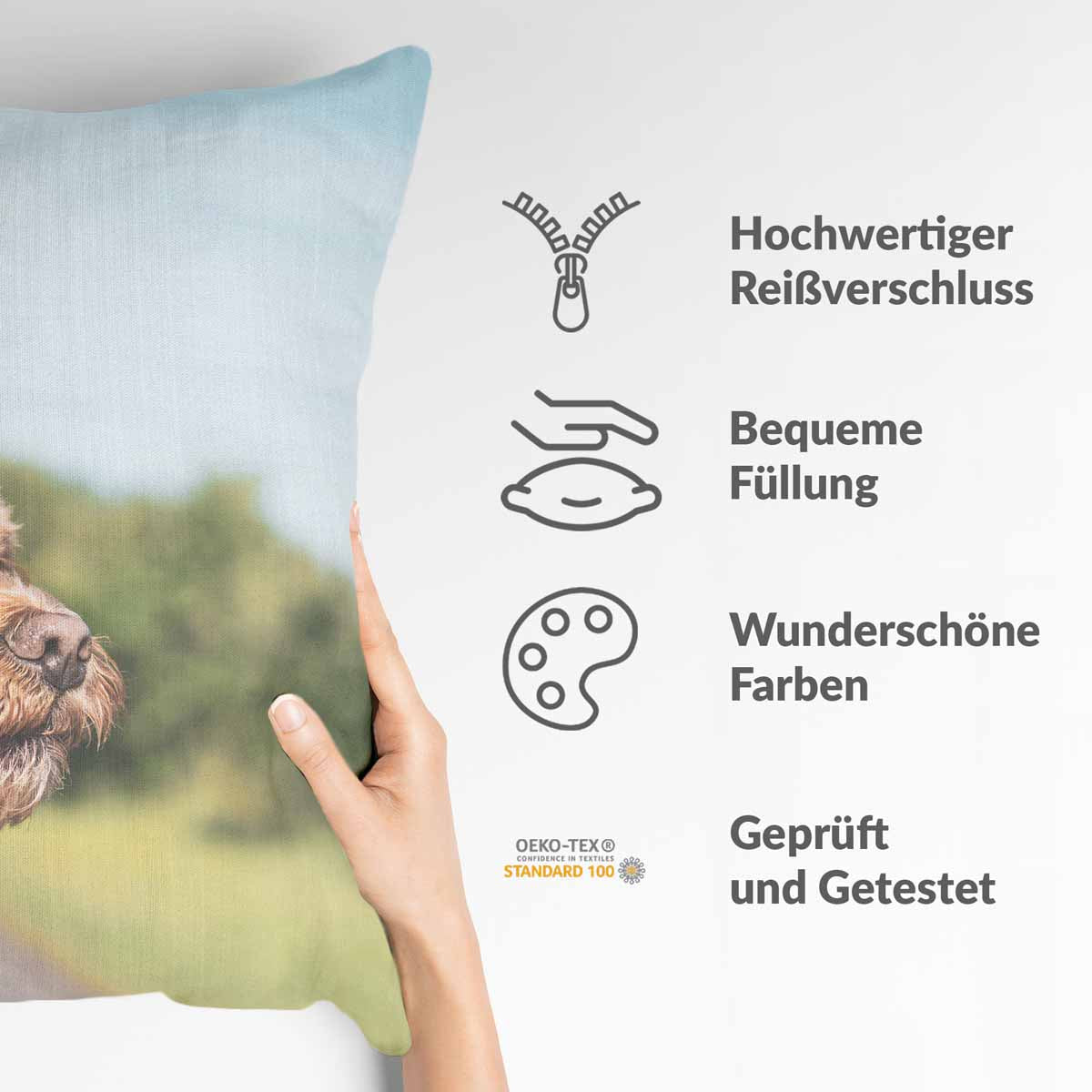 Gezondheidshoes met hond in de auto