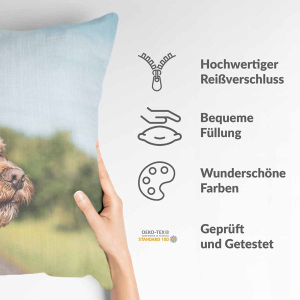 Gezondheidshoes met hond in de auto