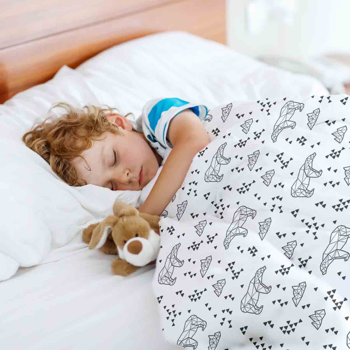 Original Therapiedecke - Baumwoll Bettwäsche Set Nordpol