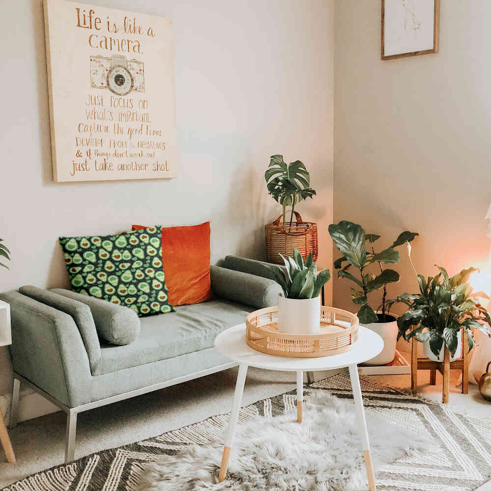 Gesundheitskissen Grüne Avocados