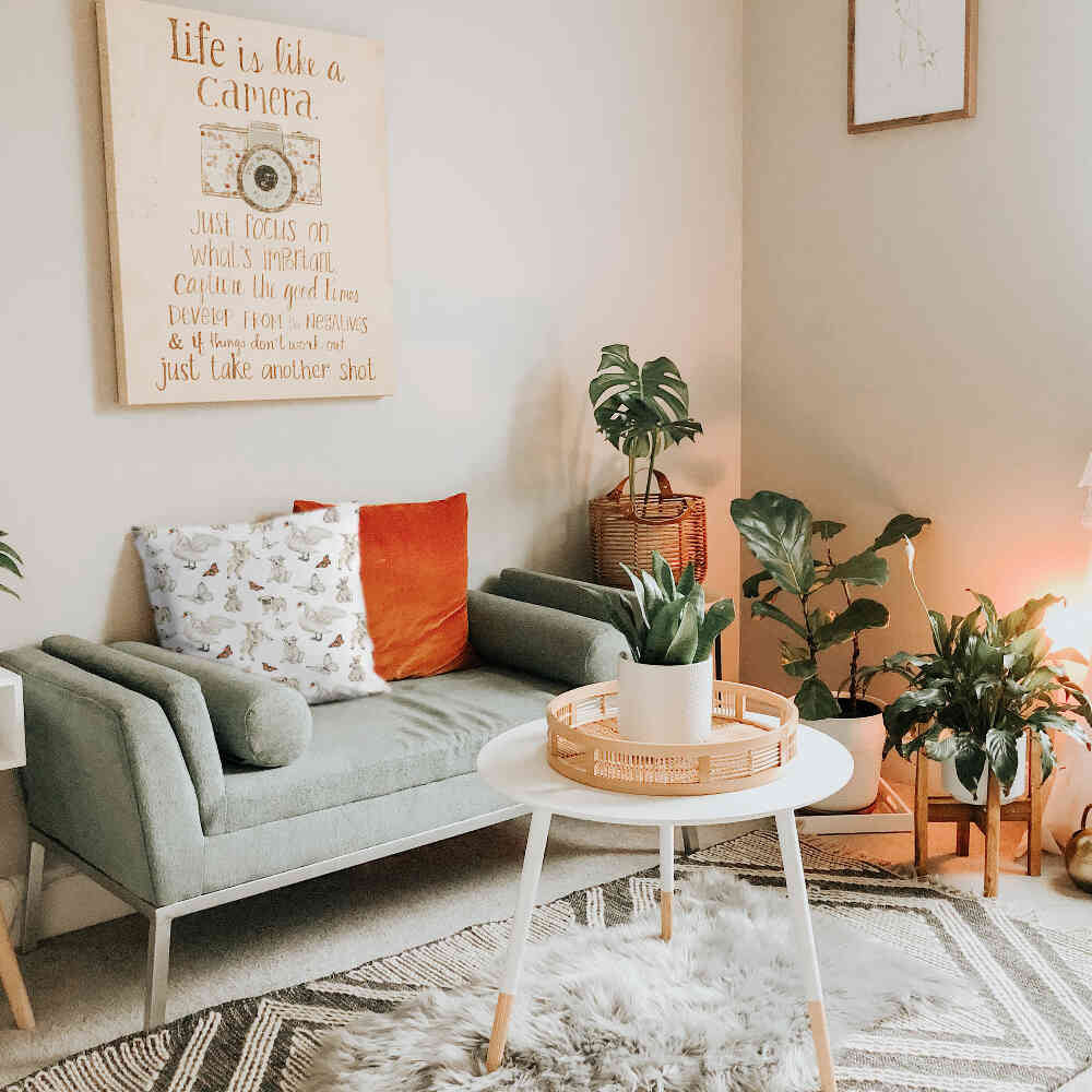 Gezondheidskussen Wit schattige dieren