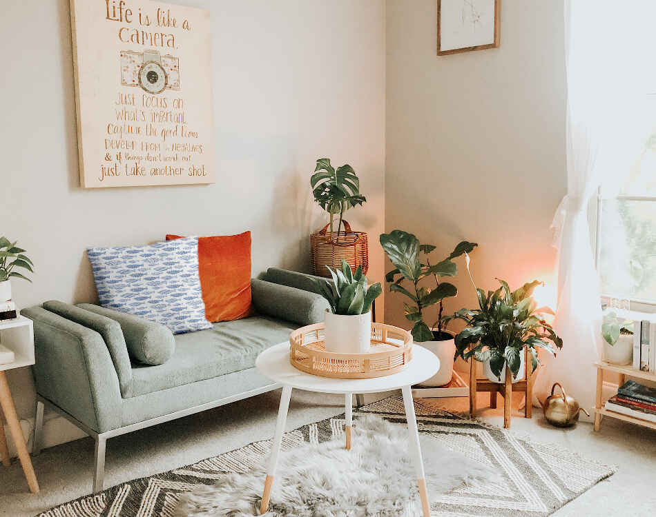 Gezondheidskussen blauwe vissen