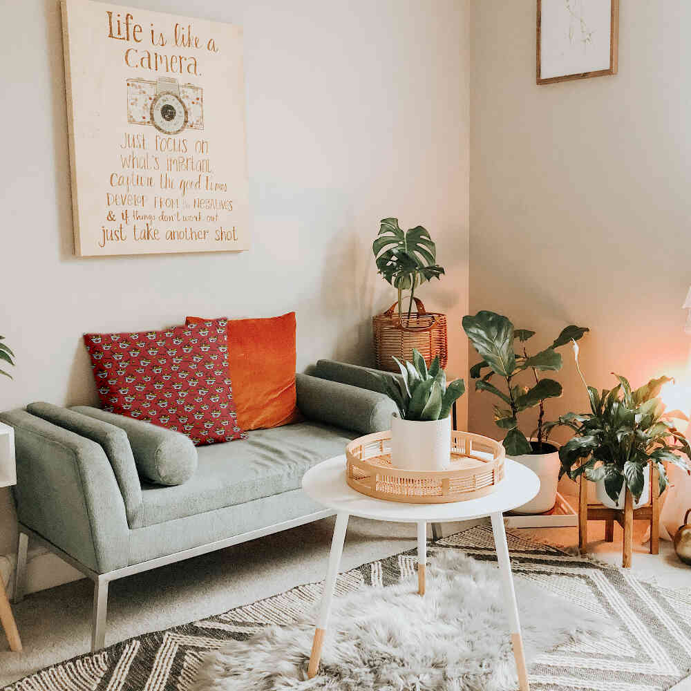 Gezondheidskussen Rood Take-away