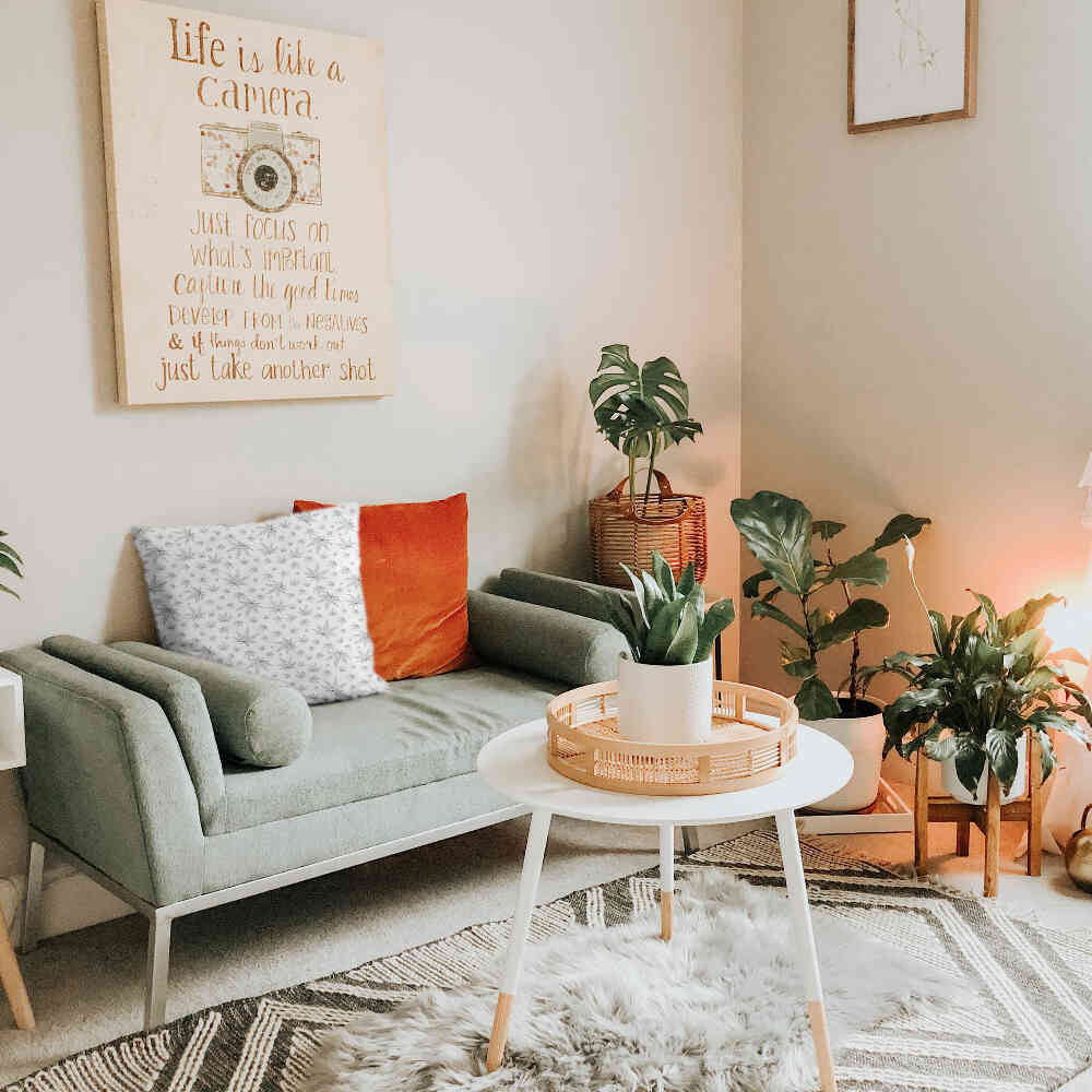 Gezondheidskussen grijs met klimop